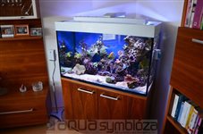 Morské akvárium 330L, 110x50x55cm, prerábka interiéru, optimalizácia filtrácie